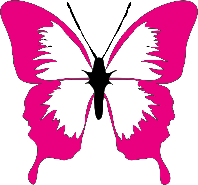 Flowers And Butterflies Clipart 5, - Butterfly Clip Art Pink (773x720)