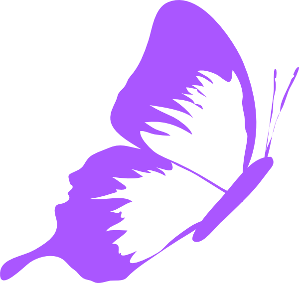 Butterfly Clip Art - Fuchsia (600x568)