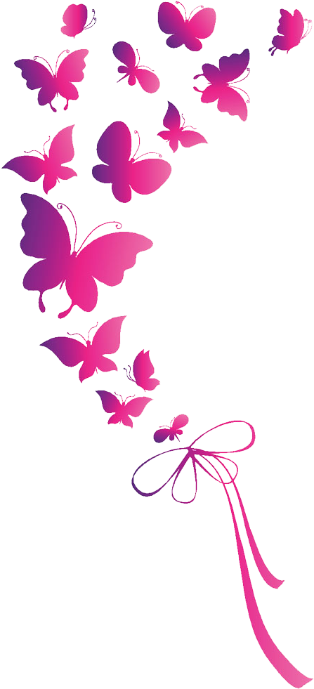 Butterfly Euclidean Vector Clip Art - Pink Butterfly Png (724x1000)