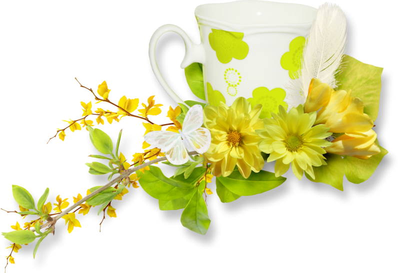 0 Ceb19 F7fa72e1 Xl - Mug (800x547)