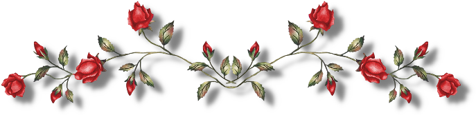 Post Divider Images - Theme Dividers Vampire Diaries (718x206)