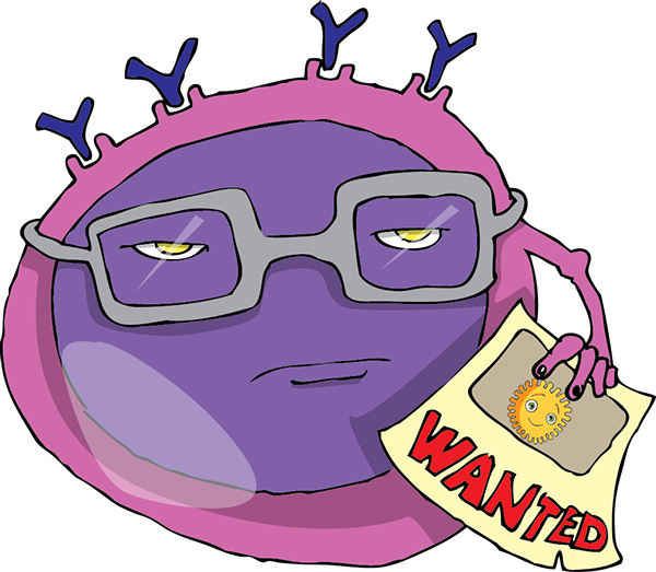B-lymphocyte Remembers The Antigen - Cytology Cartoon (600x523)