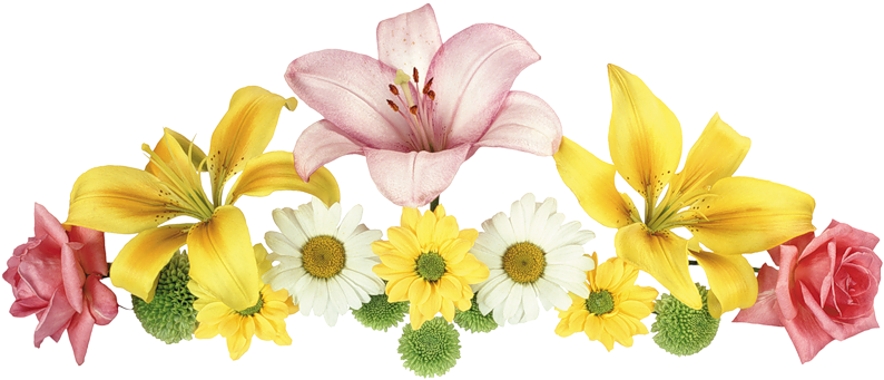 Tomorrow Starts The A To Z Challenge - ゆり の 花 イラスト 線 (800x365)