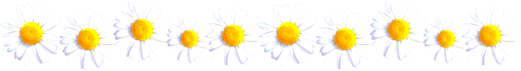 Image - Sunflower (1022x140)