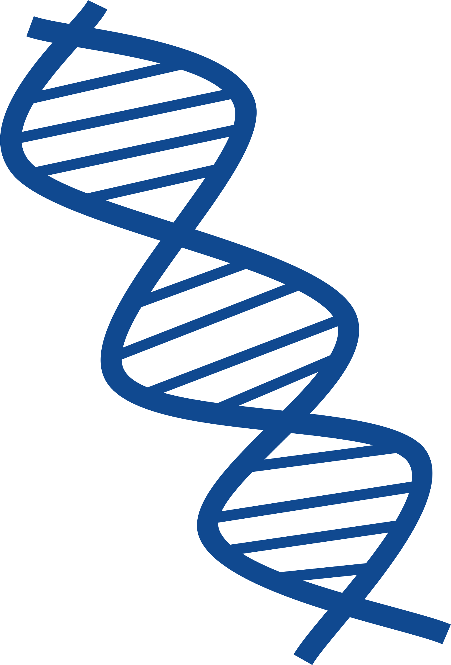Clipart Of Dna, Genes And Gene - Biology (1531x2254)
