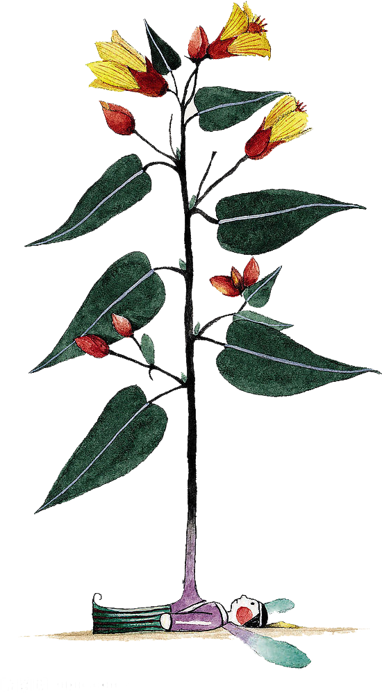 Watercolor Painting Cartoon Plant - Watercolor Painting Cartoon Plant (612x1024)