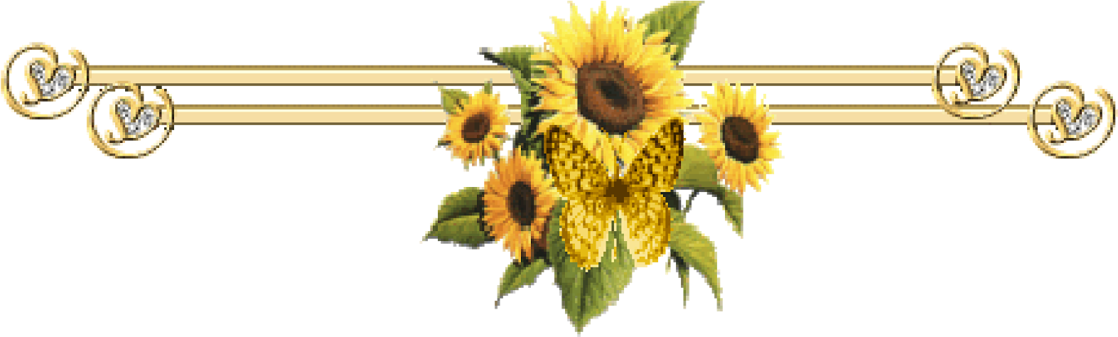 Ho Oponopono Por Elizabeth Orozco - Border Terrier Sunflower And Butterflies Mousepad (1600x484)
