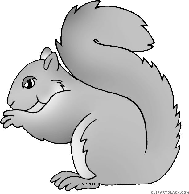 Grey Squirrel Animal Free Black White Clipart Images - Clip Art (639x648)