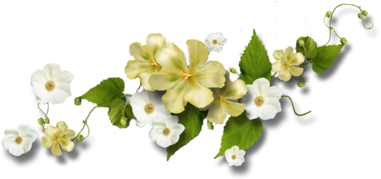 Flowery Dividers - سكرابز ورود للتصميم (587x260)