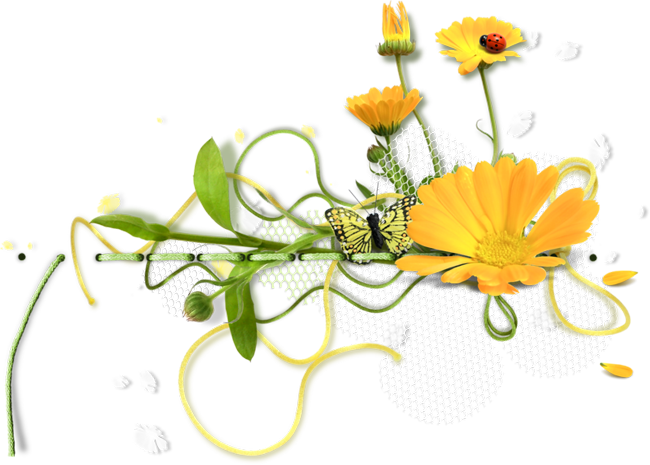 Tubes Fleurs Png - Bonne Journee Oiseaux Gif Anime (650x465)