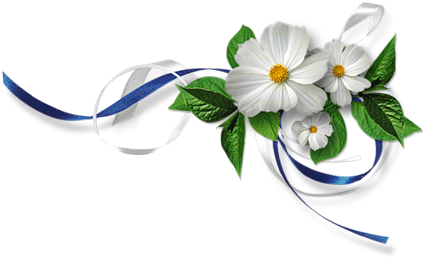 What's - Flower With Ribbon Png (500x275)