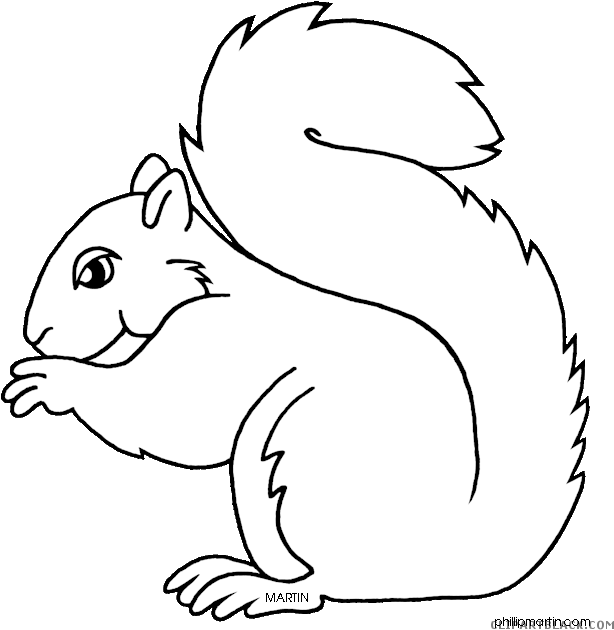 Squirrel Outline Animal Free Black White Clipart Images - Line Art (639x648)