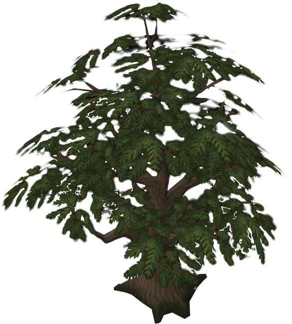 No - Yew Tree Runescape (585x649)