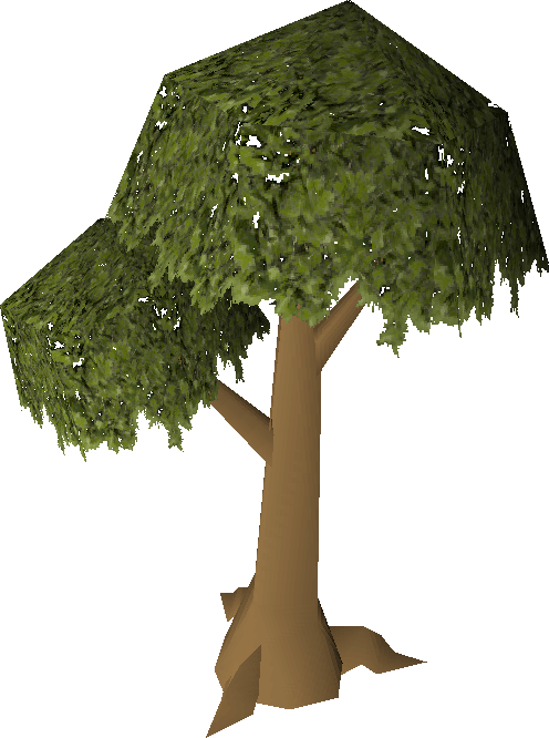 Tree - Osrs Normal Tree (496x666)