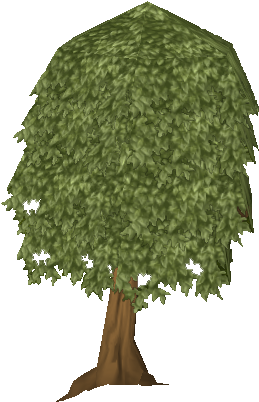 Trees Of Runescape Leave A Comment - Mango Tree (290x420)
