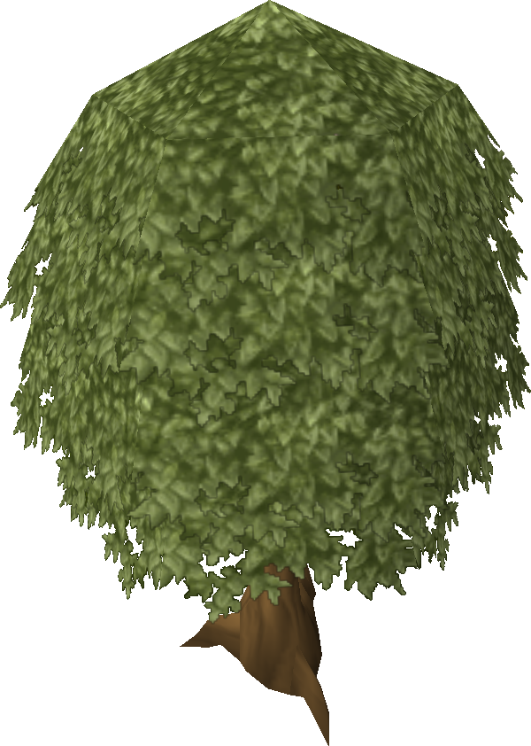 Oak Tree Old - Lace Wig (600x842)