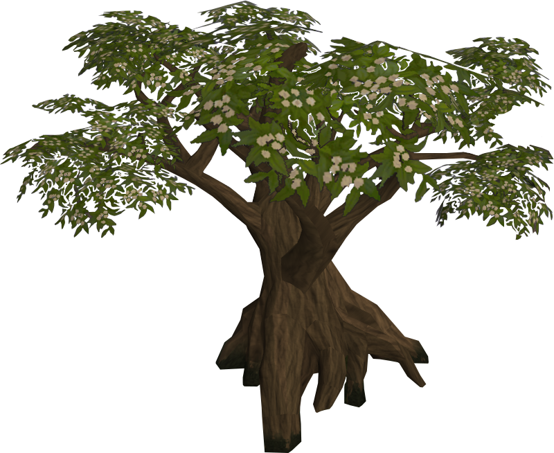 Blossoming Tree - Oak (800x654)