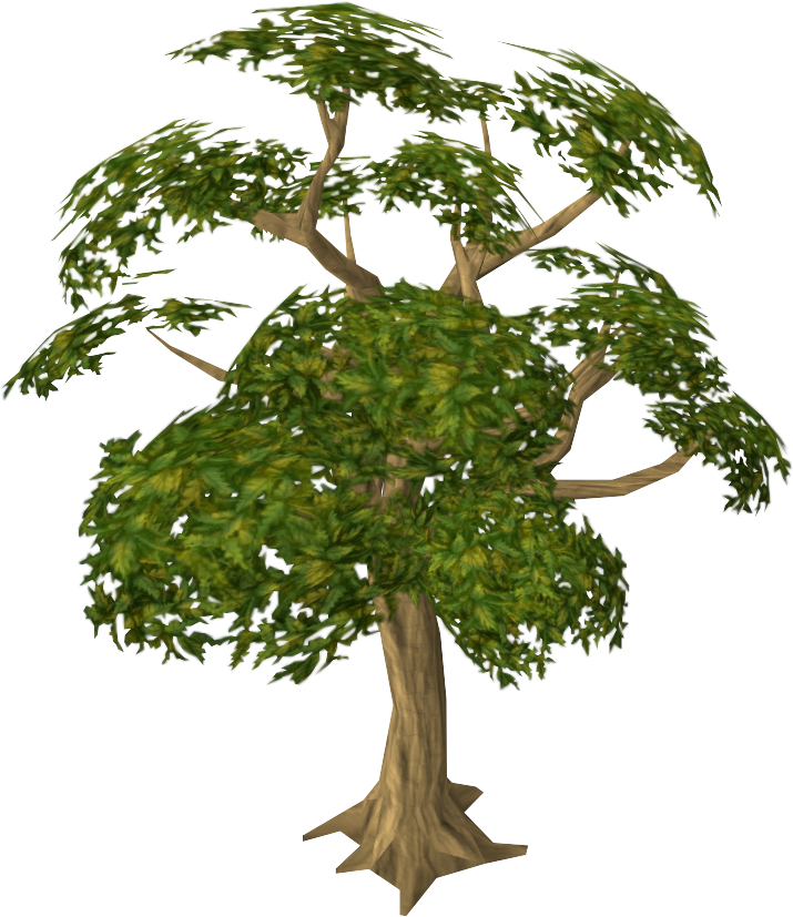 Mahogany Runescape Wiki Fandom Powered By Wikia - Mahogany Tree (715x827)