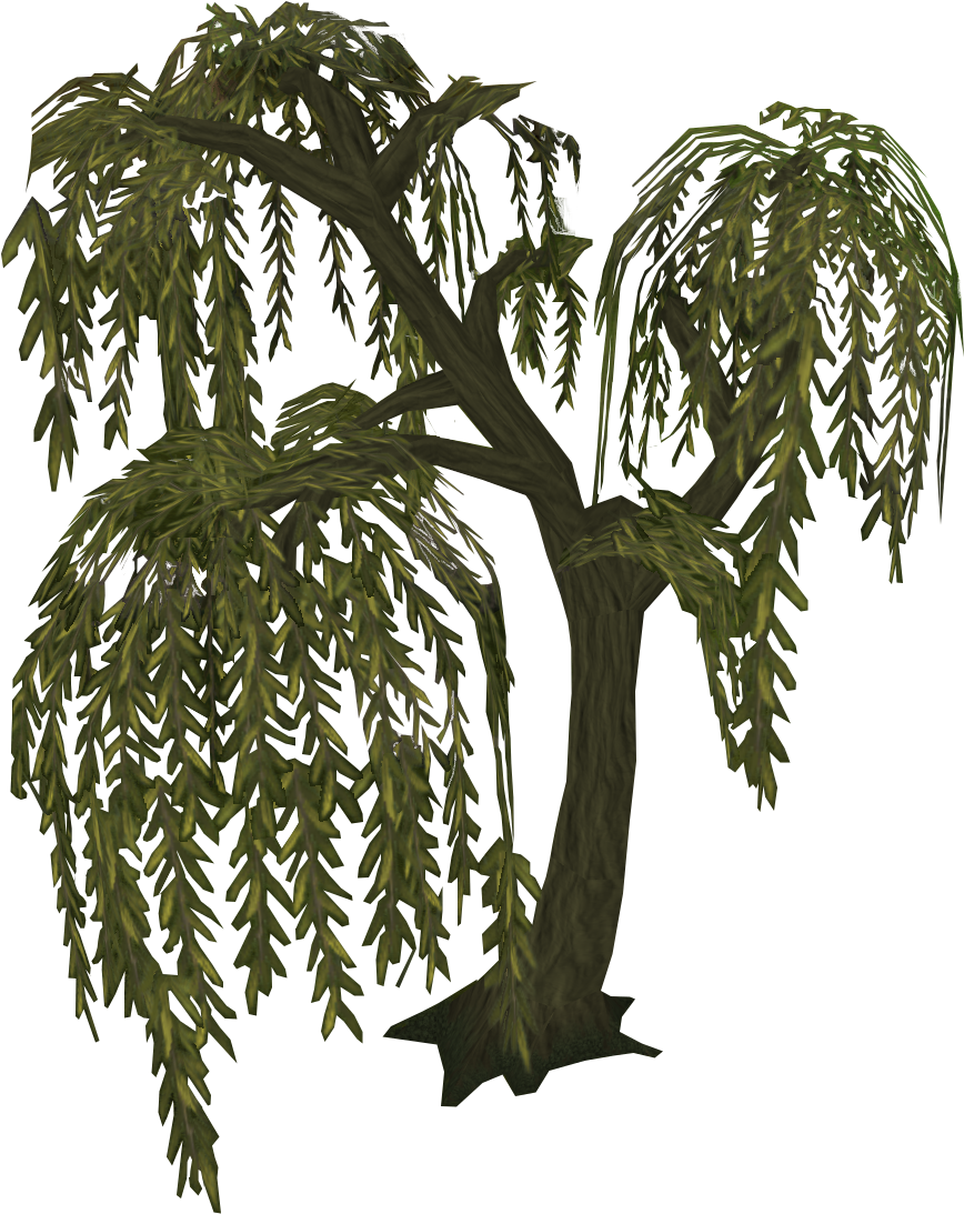Willow Tree - Cb Edits Png Tree (875x1100)