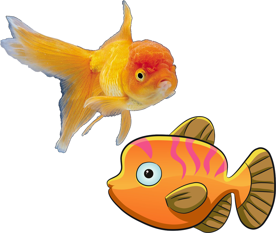 Deep Sea Fish Cartoon - Deep Sea Fish Cartoon (1024x859)