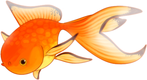 Mphilipphotography 89 29 Goldfish By Nikaleles - Goldfish (493x270)