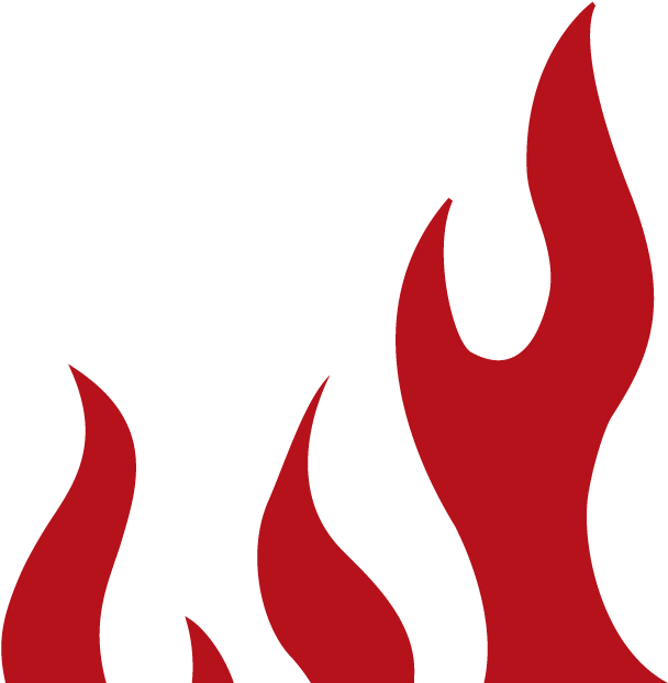 We Make Asian Food Sizzle - We Make Asian Food Sizzle (674x652)