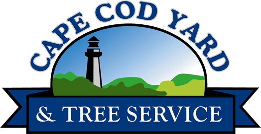 Cape Cod Yard Logo - Cape Cod (524x270)