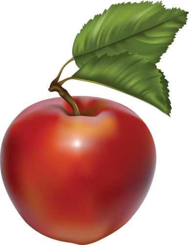 Redapp060 - Baby Food Companies (387x500)