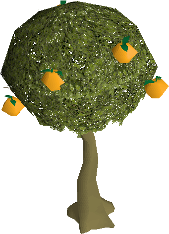 Orange Tree - Mandarin Orange (385x488)