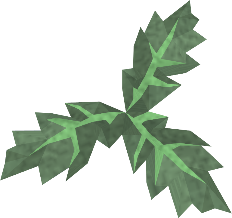 Clean Aloe Detail - Wikia (771x725)