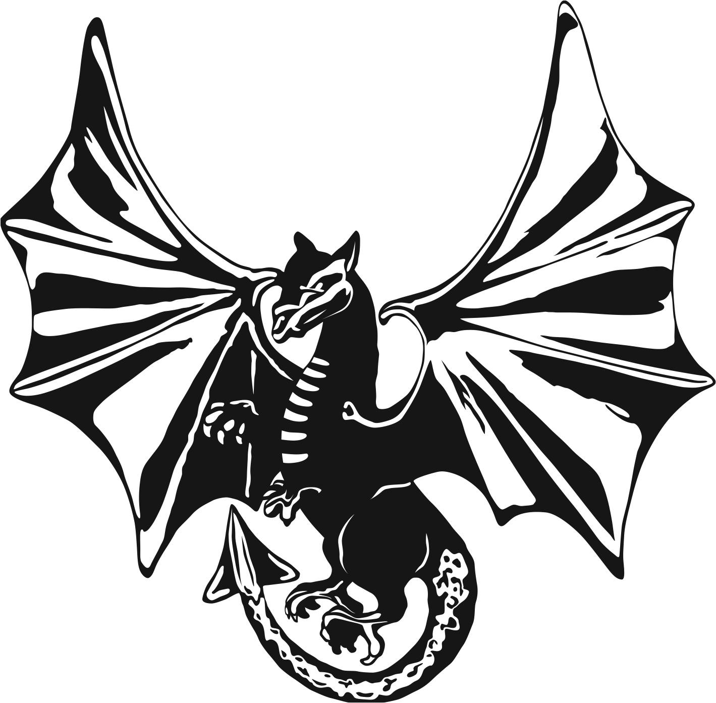 Dragon Drone Training - Unmanned Aerial Vehicle (1425x1427)