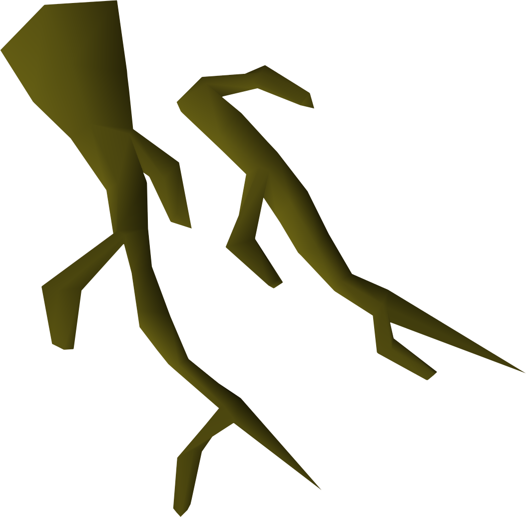 Oak Roots Detail - Illustration (1053x1036)