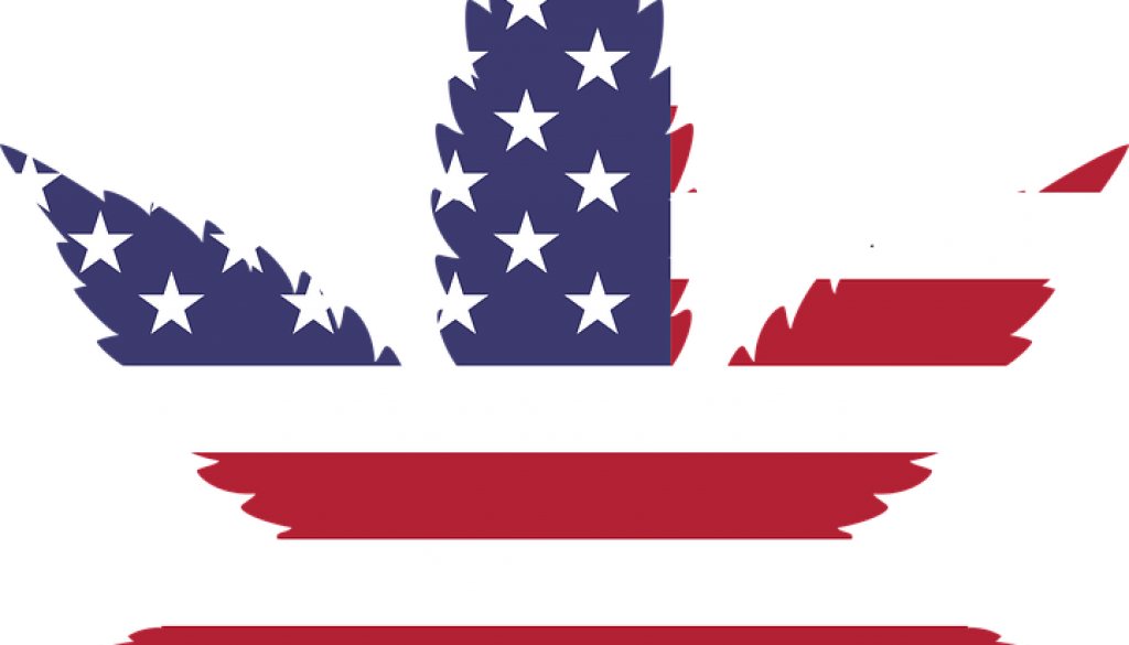 American Weed - Marijuana Leaf Usa (1024x585)