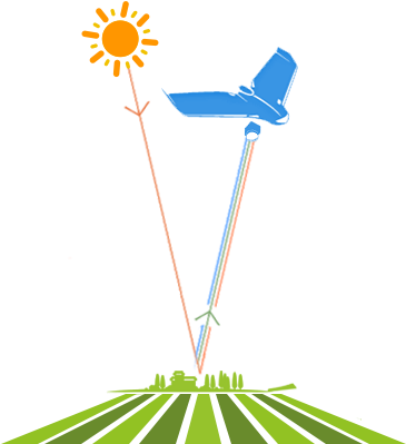 Gamaya Farmland Analytics Services Rely On Hyperspectral - Agriculture (364x417)