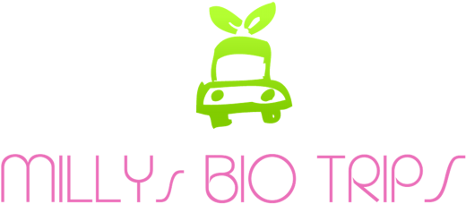 Organic Family Restaurants - Restaurant (546x250)