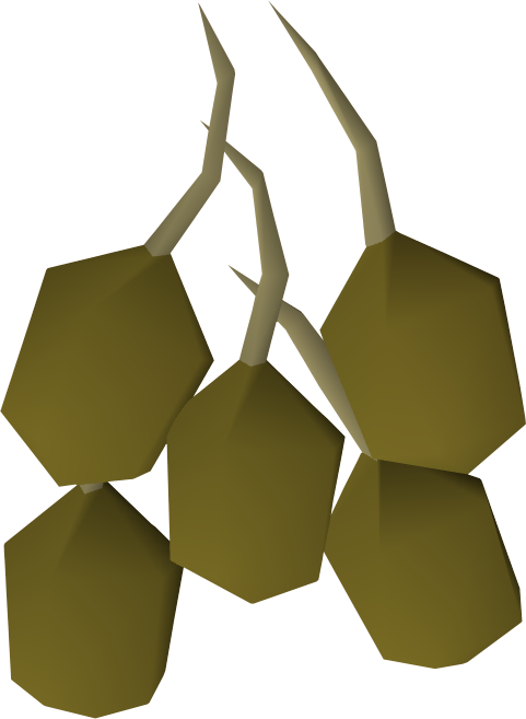 Tree Seeds Runescape Seeds Runescape Seeds Able - Runescape Potato (481x657)