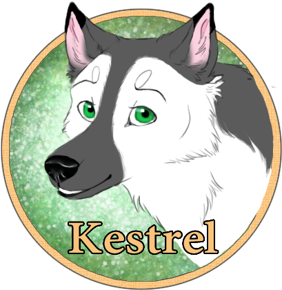 Kestrel Confirmed With A Smile Tinged With Sadness - Cartoon (423x439)