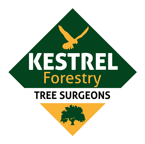 Kestrel Forestry (500x492)