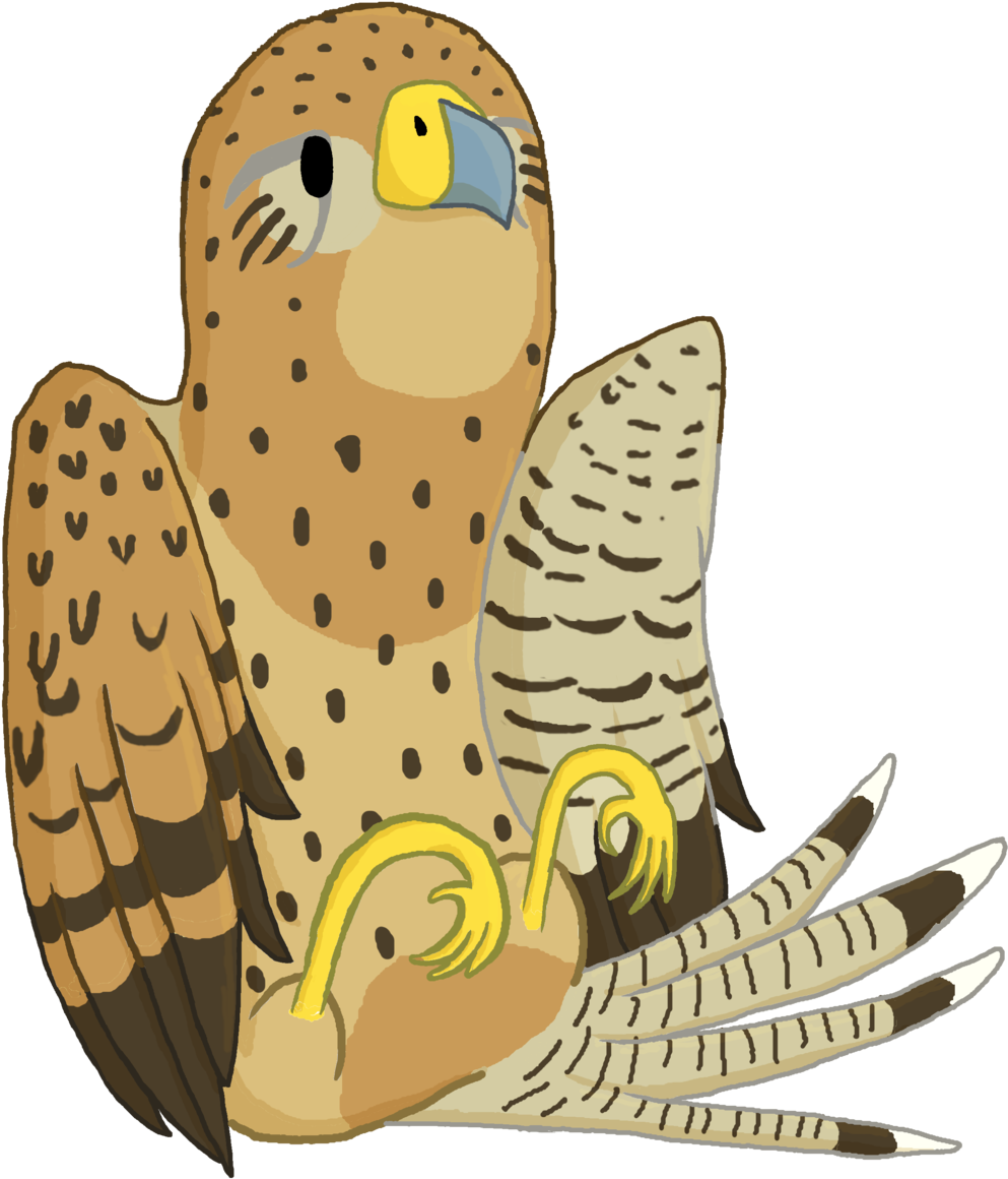 Kestrel By Beau Diddly Kestrel By Beau Diddly - Illustration (1024x1365)