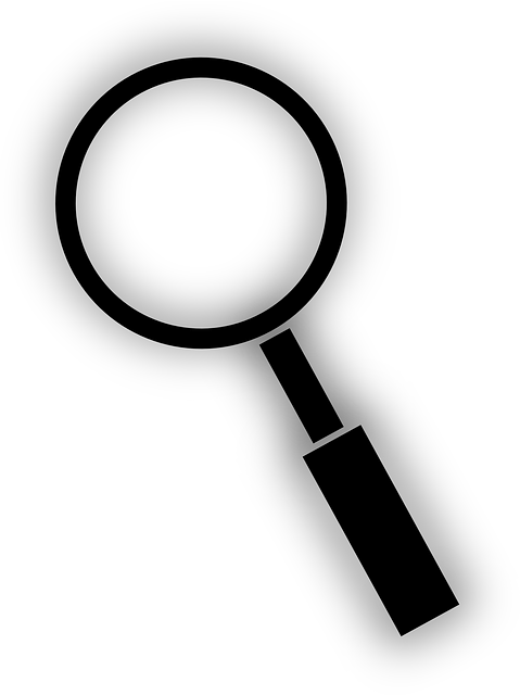 Magnum Investigations Private Investigator Fort Lauderdale - Forstørrelsesglass Png (766x1024)