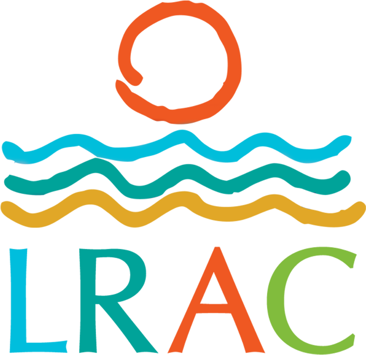 Dlr Group Logo (967x788)