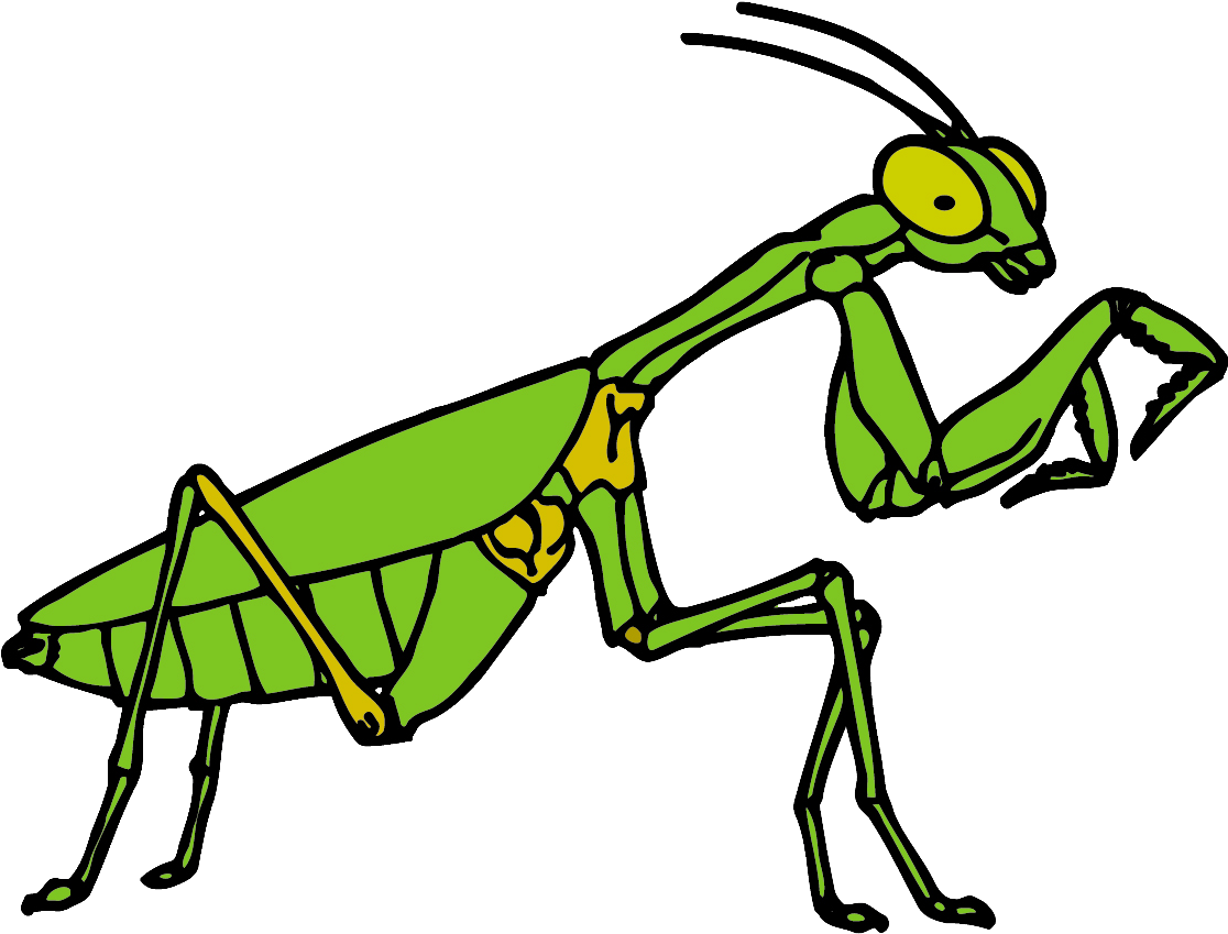 For Those Looking For The Achievements Worked On At - Free Clipart Praying Mantis (1200x900)