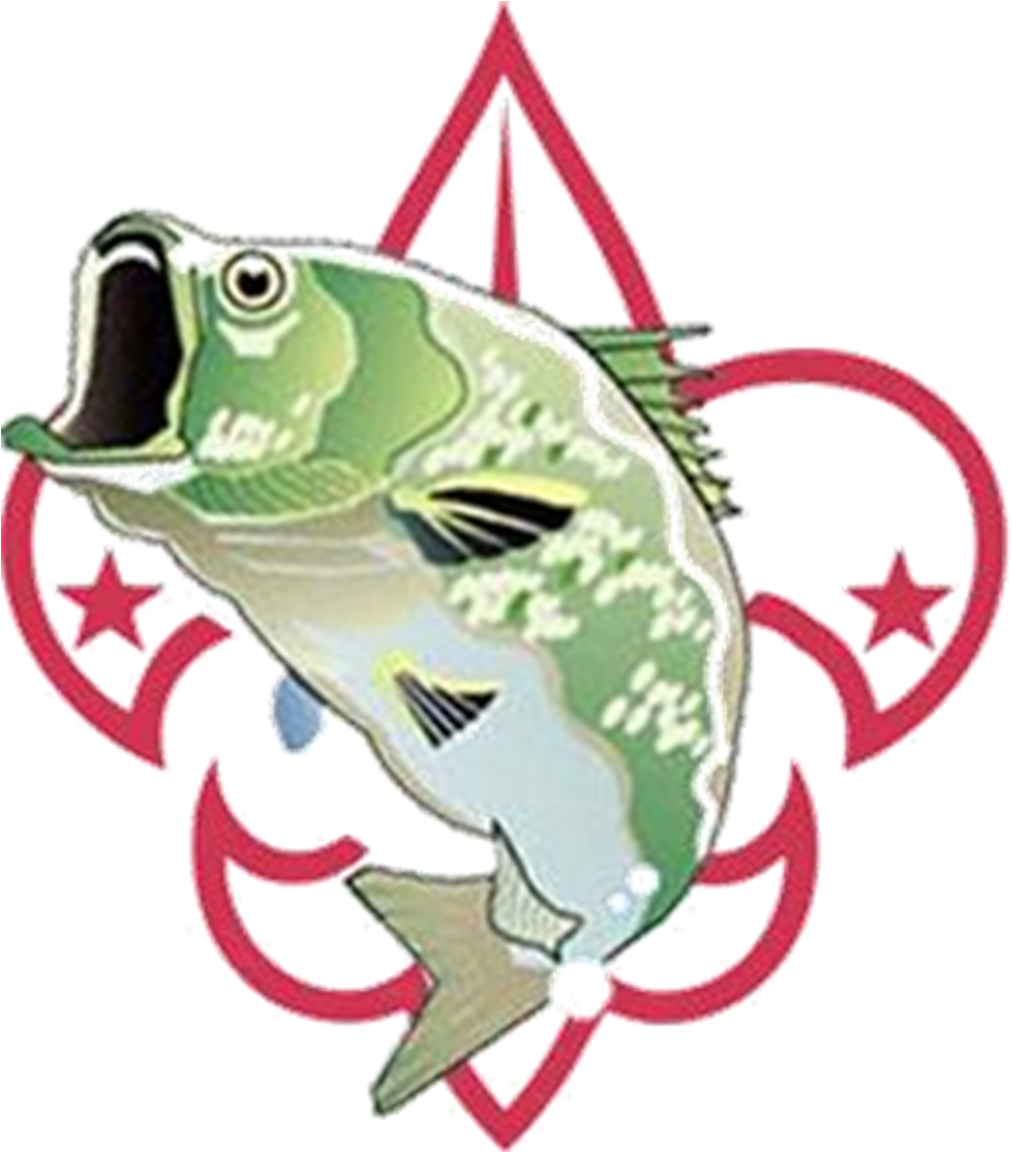 Fish A Thon - Boy Scouts Of America (931x1040)