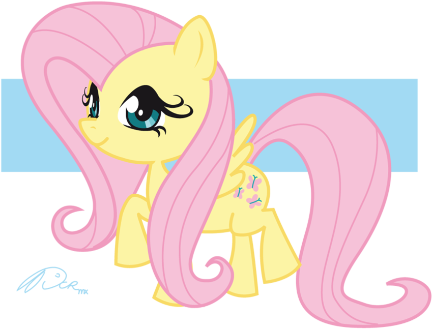 My Little Pony Friendship Is Magic Photo - Cartoon (900x688)