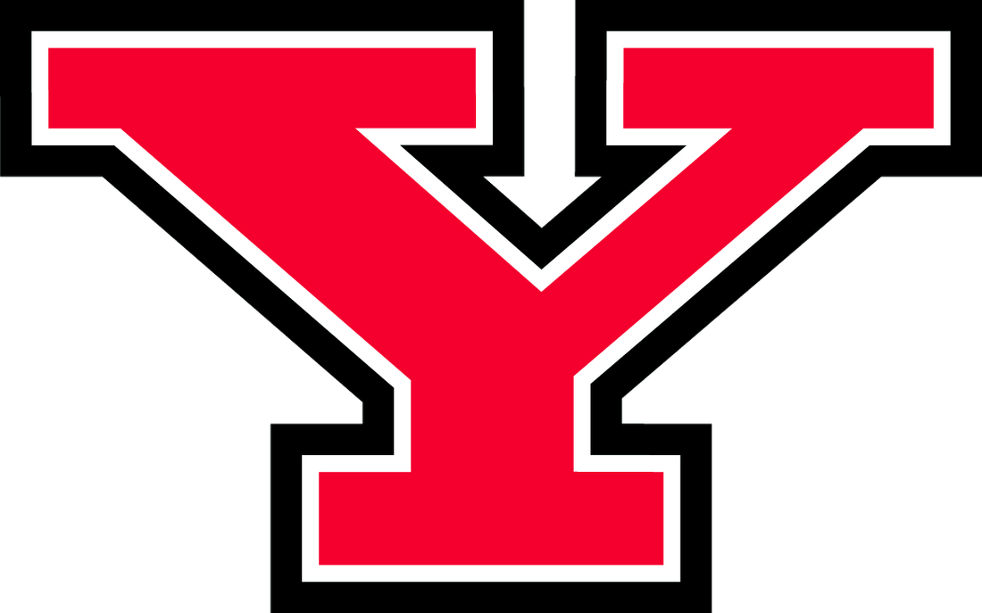 Picture - Youngstown State University Logo (1100x687)