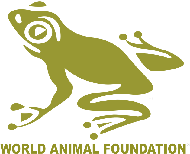 Non Profit Organizations For Animals (640x527)