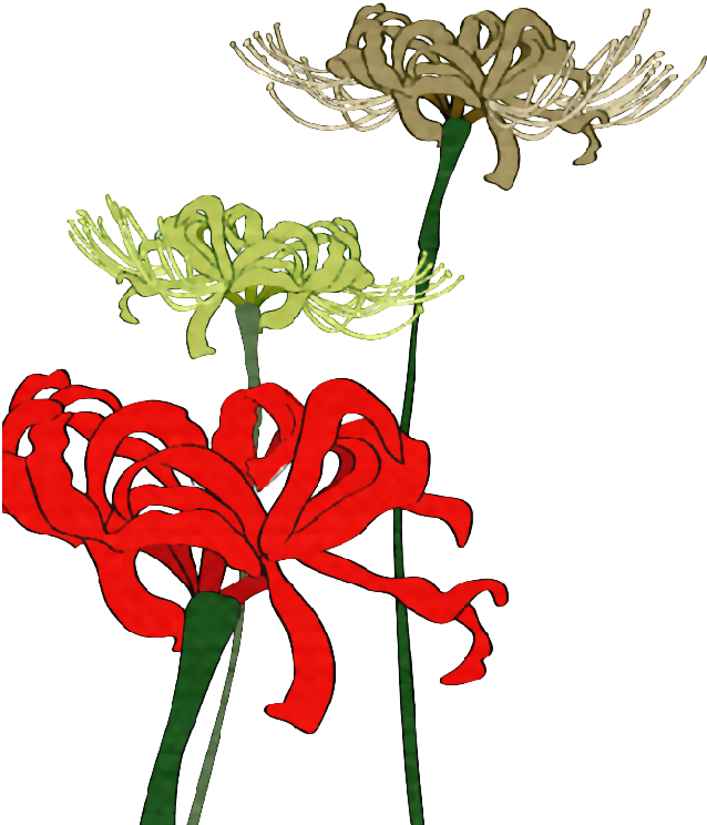 Watercolor Painting - Others - Illustration (646x770)