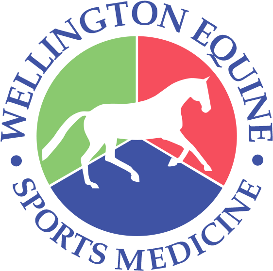 Contact Wellington Equine Sports Medicine For A Pre-purchase - Indonesian Institute Of The Arts, Yogyakarta (625x625)