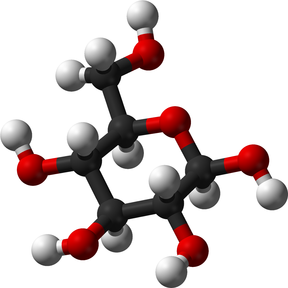 Glucose Metabolism And Why It's Important - Glucose Metabolism And Why It's Important (1100x1098)