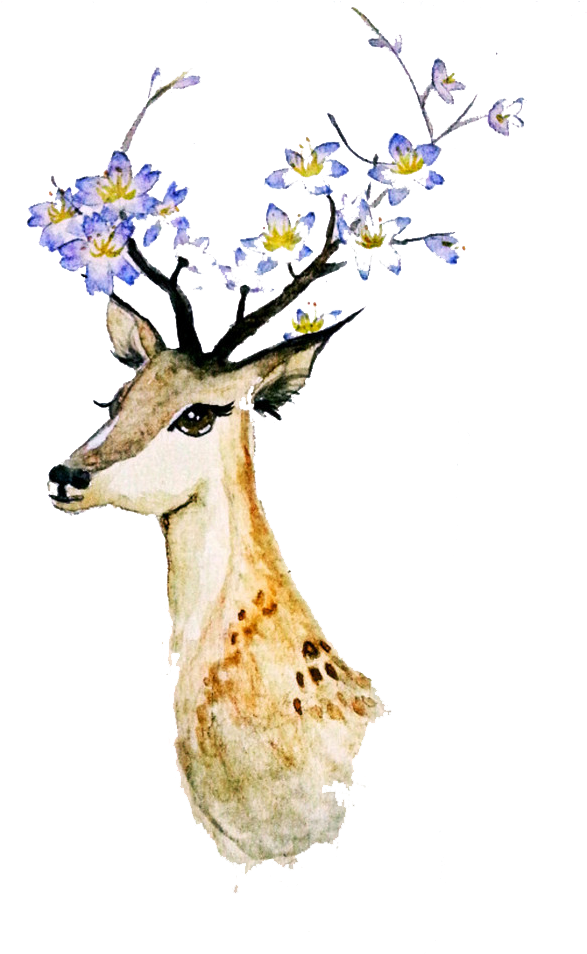 Deer Creative Watercolor Watercolor Painting - Watercolor Painting (658x953)